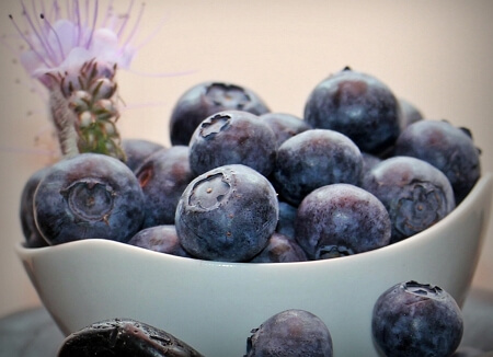 블루베리,과일(출처=pixbay)